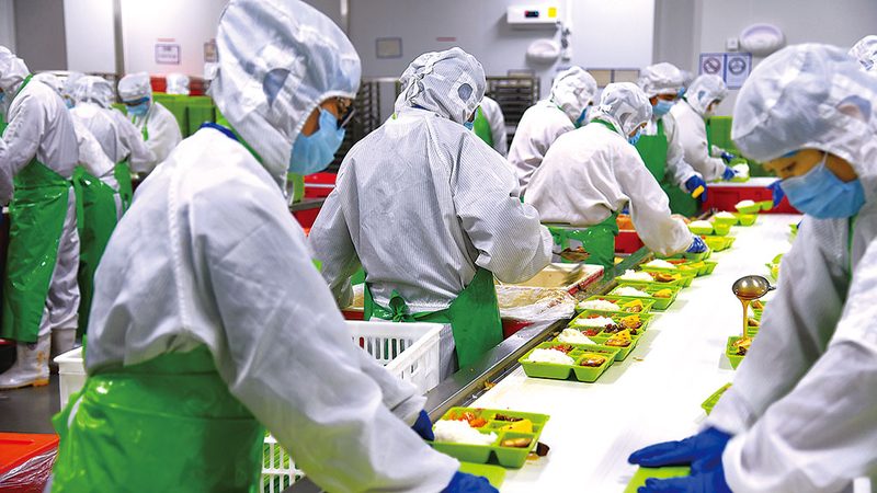 自制狗狗饼干，让爱宠享受健康美味